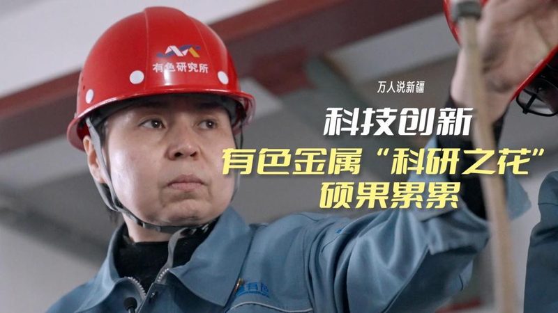 功能对比表：批发采购中的关键考量因素**